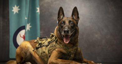 Military working dog Olly has been posted to RAAF Base Amberley in Queensland. Story by Flight Lieutenant Dee Irwin. Photo by Leading Aircraftman Stewart Gould.