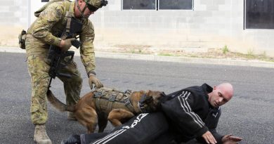 1st Military Police Battalion’s Private Alex Penfold and Police Working Dog Bella detain Lance Corporal Joshua Wilkinson while he wears a bite suit during Exercise Archibald at Wide Bay Training Area, Queensland. Story by Captain Evita Ryan. Photo by Sergeant Andrew Eddie.