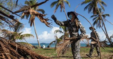 RAN sailor Able Seaman Maritime Personel Operations Christina Heron clears dead vegetation on Pangaimotu Island, Tonga. Story by Lieutenant Brendan Trembath. Photo by Leading Seaman David Cox.