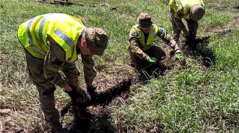 Australian Army soldiers from 7th Brigade assist a farmer near Gatton, Queensland, by cleaning fences of flood debris and checking their integrity. Story by Private Jacob Joseph.