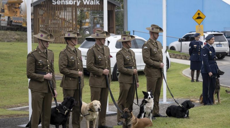 Military Working Dog Handlers from the Australian Army’s 2nd Combat Engineer Regiment and the Royal Australian Airforce at the National Military Working Dog Day commemorative service, Wacol, Queensland, on June 7. Story by Captain Evita Ryan. Photo by Warrant Officer Class 2 Kim Allen.