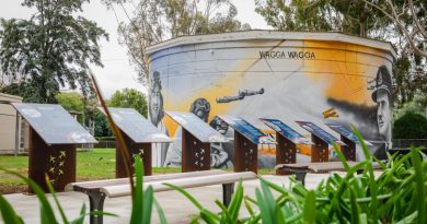 The water tank mural at RAAF Base Wagga’s aviation heritage precinct. Story by Flight Lieutenant Karyn Markwell. Photo by Leading Aircraftman Adam Abela.
