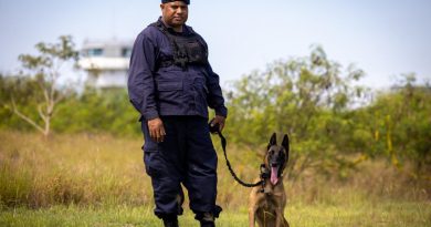 Senior Constable Adrien Lamu and working dog Nym from the RPNGC K-9 unit prepare to board a RAAF C-27J Spartan as part of Operation Kimba. Story by Lieutenant Geoff Long. Photo by Corporal Jonathan Goedhart.