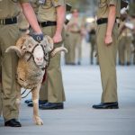 8th/9th Battalion Birthday Celebrations