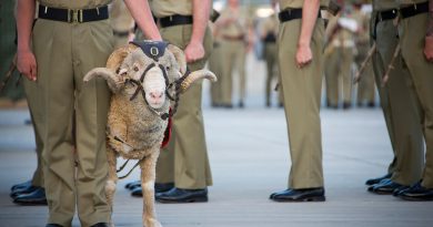 Battalion mascot, Corporal John MacArthur IV – "Stan the Ram" – during an 8/9RAR birthday parade at Gallipoli Barracks, Brisbane, on 31 October 2014. Photo by Corporal David Cotton.