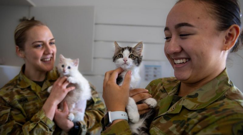 Corporal Jess Dwan and Private Rebecca Rice cuddle rescue kittens Snowy and Dotty at the Sydney Cats and Dogs Home in Strathfield. Story and photo by Captain Annie Richardson.