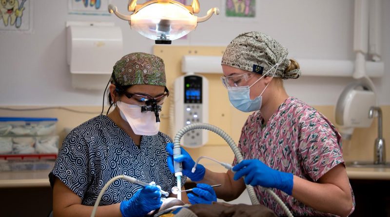 Australian Army dental officer Captain Yuen Dieu and dental assistant Private Jacinta Rooke, from 1st Health Battalion, provide dental support to the Gapuwiyak community during the Army Aboriginal Assistance Program. Story byCaptain Evita Ryan.