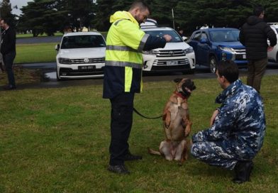 Dogs put on a show for RAAF personnel