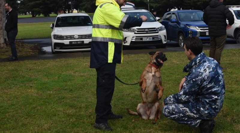 ASAR-K9 unit dogs and handlers providing a demonstration to members of RAAF Williams, Laverton and RAAF Base Point Cook. Story and photo by Flight Lieutenant Steffi Blavius.