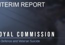 Suicide Royal Commission delivers interim report