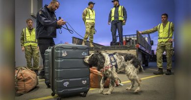 A customs dog team searches for explosives in at the International Antarctic Program terminal in Christchurch. This is the first NZ flight to the ice for the season 2022/23. NZDF photo by Corporal Sean Spivey.