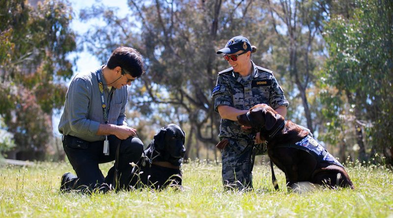 Scott Grimley with his guide dog, Dudley, and Able Seaman Taryn Dickens with her assistance dog, Gigi, enjoy some time in the sun. Story and photo by Private Nicholas Marquis.