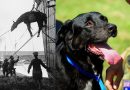 “Paws and Reflect” – war-animal remembrance at Melbourne’s Shrine