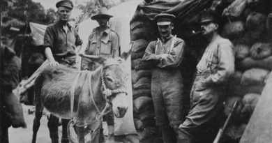 Group comprising (from left) Lieutenant Colonel W B Lesslie, a Canadian officer attached to the Royal Enginers; Private John Simpson Kirkpatrick, 3rd Field Ambulance; Lieutenant-Colonel Edmund Bowler, Beach Commander Gallipoli; and Major C H Villiers-Stuart, Intelligence Officer. In front is Kirkpatrick's donkey "Murphy". Bowler has his arm in a sling because of a wound incurred upon landing. Photograph taken before 17 May 1915, in front of Bowler's dugout, by an unknown photographer. Villiers-Stuart was killed on 17 May 1915. Private Kirkpatrick was killed on 19 May 1915. Photo via digitalnz.org