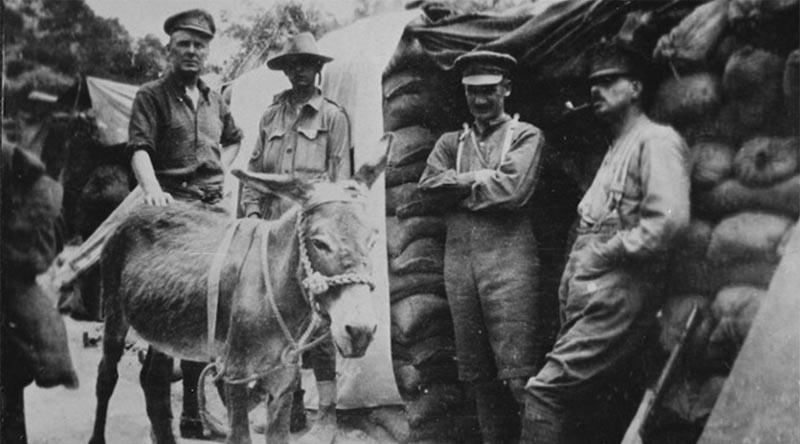 Group comprising (from left) Lieutenant Colonel W B Lesslie, a Canadian officer attached to the Royal Enginers; Private John Simpson Kirkpatrick, 3rd Field Ambulance; Lieutenant-Colonel Edmund Bowler, Beach Commander Gallipoli; and Major C H Villiers-Stuart, Intelligence Officer. In front is Kirkpatrick's donkey "Murphy". Bowler has his arm in a sling because of a wound incurred upon landing. Photograph taken before 17 May 1915, in front of Bowler's dugout, by an unknown photographer. Villiers-Stuart was killed on 17 May 1915. Private Kirkpatrick was killed on 19 May 1915. Photo via digitalnz.org