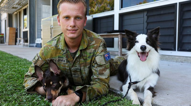 Army Sapper Flynn Skerke-Erwin, of the 3rd Combat Engineer Regiment, with trainee explosive detection dogs Joey, left, and Ash. Story and photo by Warrant Officer Class 2 Max Bree.