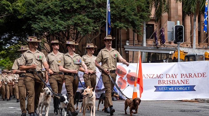 Australian Army sappers with their explosive detection dogs from the 2nd Combat Engineer Regiment, march during the Anzac Day 2023 parade in Brisbane City, Queensland. Photo by Corporal Nicole Dorrett.