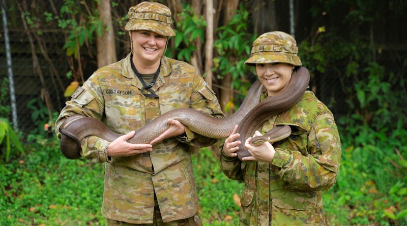 Privates Leah Gustafson and Sylvia Ng from 2nd Health Battalion hold an Olive Python during the venomous snake handling and relocation course at Gallipoli Barracks, Brisbane. Story and photo by Private Thomas de Weger.