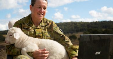 Australian Army soldier Sergeant Pam Newlin with a lamb on her lap as she works from home on the family farm at Big Hill, NSW. Story by Jon Kroiter. Photo by Corporal Luke Bellman.