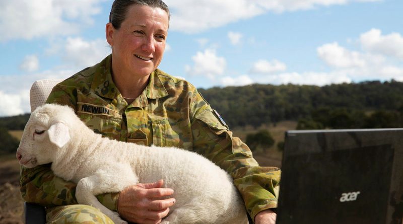 Australian Army soldier Sergeant Pam Newlin with a lamb on her lap as she works from home on the family farm at Big Hill, NSW. Story by Jon Kroiter. Photo by Corporal Luke Bellman.