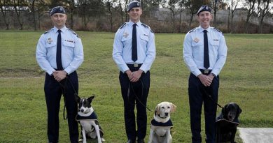 RAAF military working dog handlers from 2SECFOR and their explosive detection dogs: (l-r) Sergeant Marc Douglas with Ollie, Leading Aircraftman Michael Robertson with Piper, and Corporal Alex Randles with Rex. All photos by Warrant Offer Class Two Kim Allen.