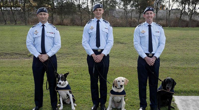 RAAF military working dog handlers from 2SECFOR and their explosive detection dogs: (l-r) Sergeant Marc Douglas with Ollie, Leading Aircraftman Michael Robertson with Piper, and Corporal Alex Randles with Rex. All photos by Warrant Offer Class Two Kim Allen.