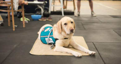 Integra’s trained assistance dog, Nelson. Photo Brain Tait.