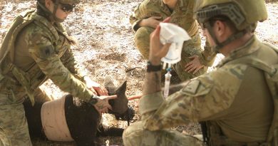 Army sappers from the 1st Combat Engineer Regiment and medics from the 1st Health Battalion practise critical first aid skills on the robotic training dog, Diesel during Canine Tactical Combat Casualty Care training. Story by Captain Annie Richardson. Photo by Signaller Kobi Rankin.