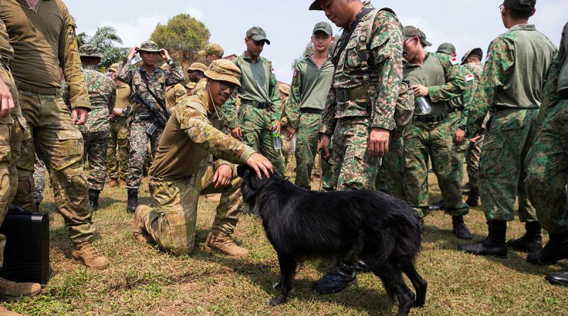 Australian Army personnel meet Bruno, a military working dog, on Exercise Bersama Lima, Kuantan, Malaysia. Story by Flying Officer Connor Bellhouse. Photo by Corporal Sam Price.