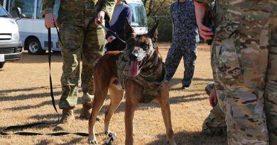 RAAF military working dog, Zlo, during the trilateral security forces subject matter expertise exchange at Iruma Air Base, Japan. Story by Flight Lieutenant Claire Campbell.