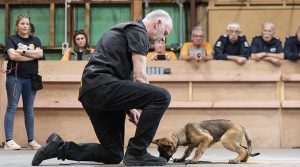 Internationally recognised police dog trainer Dick Staal demonstrates detection training as part of a working-dog seminar with the NZDF, overseas militaries, and other NZ-government agencies who use working dogs.