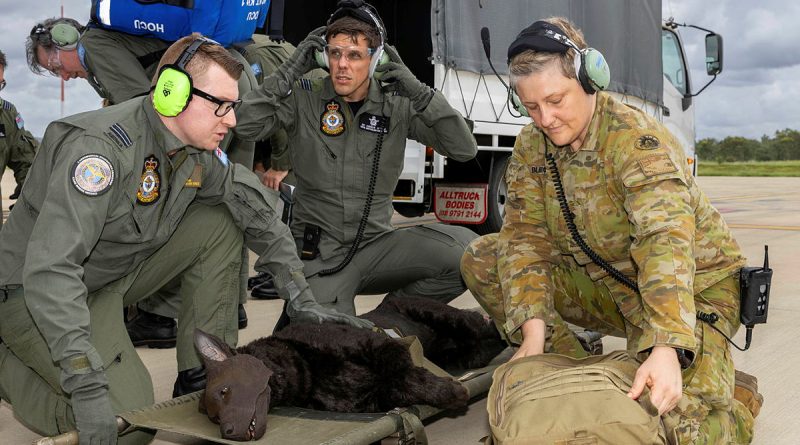 Flight Lieutenant Nick Adam, left, Squadron Leader Andrew Marks from 3 Aeromedical Evacuation Squadron and Captain Alexandra Blecich from 2nd Health Brigade, assist 'Hero', a technical training aid, during a critical care aeromedical evacuation scenario. Story by Corporal Melina Young. Photos by Aircraftman Campbell Latch.