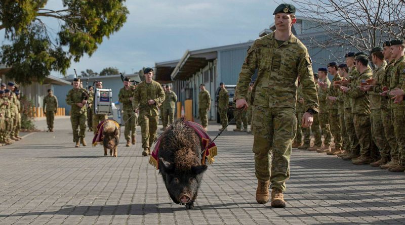 Pig mascots William and Elizabeth are farewelled by the 7th Battalion, Royal Australian Regiment at RAAF Base Edinburgh. Story and photos by Corporal Michael Rogers.