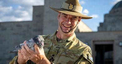 Brigadier Deane Limmer holds a Blue Bar Cock pigeon at the Australian War Memorial, Canberra. Story and photos by Corporal Jacob Joseph.