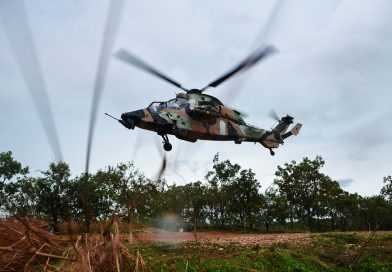 Tigers on the prowl in the Top End