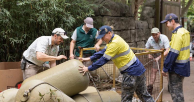 Royal Australian Navy personnel and Taronga Zoo staff unload equipment donated by Port Services East, HMAS Kuttabul, for the elephants at Taronga Zoo, Sydney. Photo by Able Seaman Lauren Pugsley.