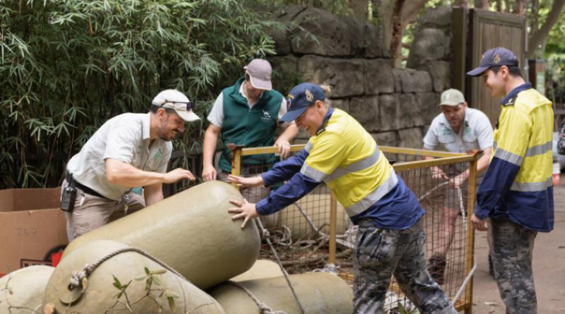 Royal Australian Navy personnel and Taronga Zoo staff unload equipment donated by Port Services East, HMAS Kuttabul, for the elephants at Taronga Zoo, Sydney. Photo by Able Seaman Lauren Pugsley.