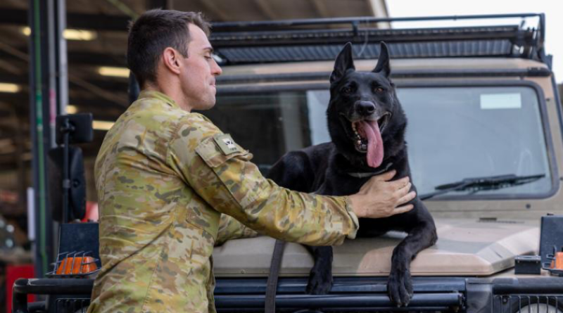 Lance Corporal Jared Willis with his military working dog Dirk at Roberston Barracks in Darwin. Story by Leading Seaman Nadav Harel. Photo by Corporal Gregory Scott.