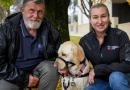 Unsung heroes on four paws