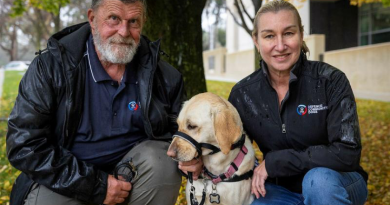 Unsung heroes on four paws Unsung heroes on four paws