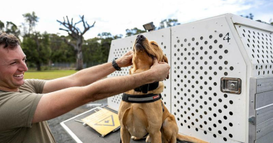 Sapper Dean Purcell and explosive detection dog Ledge before a morning run at the School of Military Engineering at Holsworthy. Story by Leading Seaman Nadav Harel.