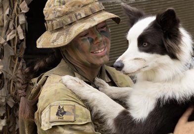 K9 team tackle danger zones