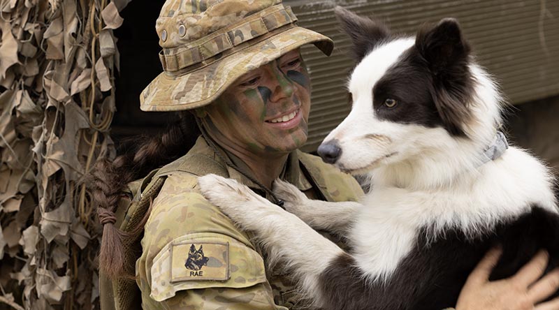 K9 team tackle danger zones