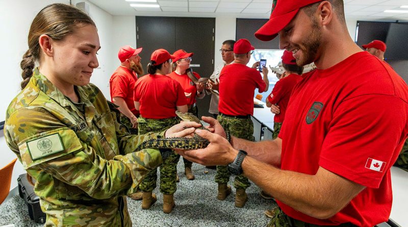 Australian Army soldier Private Kaitlyn Gallagher, left, hands over a juvenile saltwater crocodile to a soldier from 4th Canadian Ranger Patrol Group during the Exercise Southern Cross 2025 fauna workshop in Darwin. Story by Captain Tim Klingner. Photos by Corporal Michael Currie.