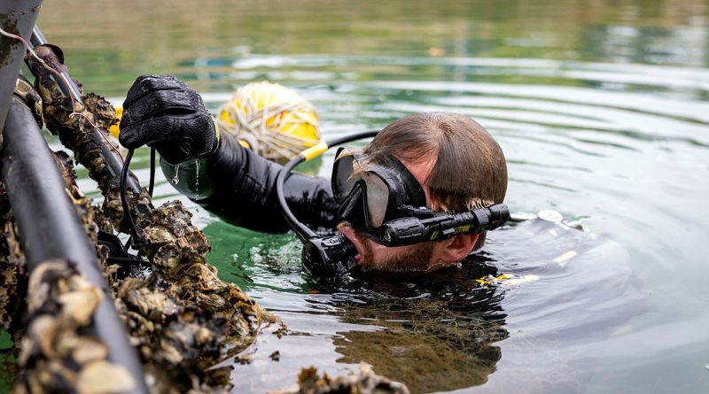 A Royal Australian Navy clearance diver prepares a subsurface improvised explosive device for disposal as part of a training scenario at Gladstone Marina during Exercise Talisman Sabre 25. Story and photo by Corporal Michael Rogers.