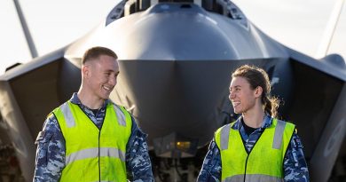 Avionic technicians living the dream in Japan Avionic technicians living the dream in Japan