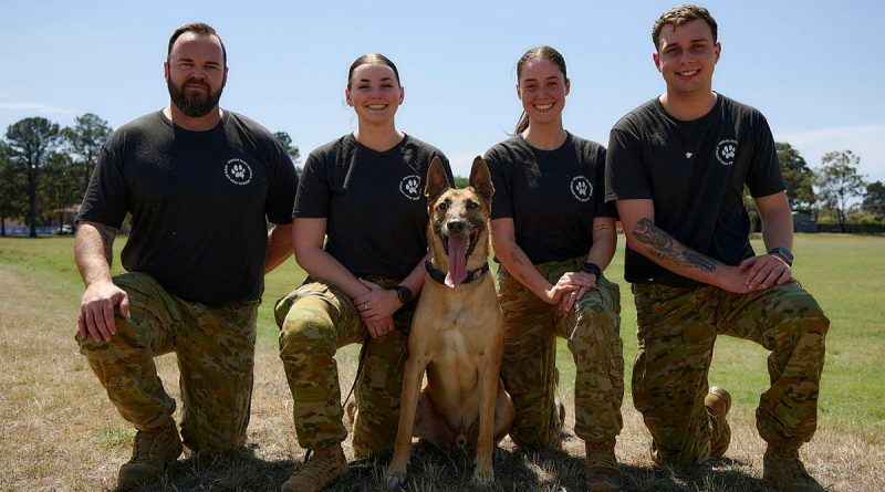 Military working dog handlers and retired military working dog Genie during a military working dog charity event at RAAF Base Williamtown. Story by Flight Lieutenant Grace Casey-Maughan. Photos by Leading Aircraftwoman Laura Flower.