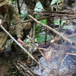 Learning tricks of the tracking trade