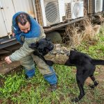 Dogs and handlers sink their teeth into workshop Dogs and handlers sink their teeth into workshop