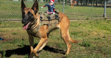 Alfie the Elf goes on patrol with military working dog Wilka from 22 Squadron at RAAF Base Richmond. Story by Flight Lieutenant Madeleine Magee. Photos by Aircraftwoman Grace Hanlon.